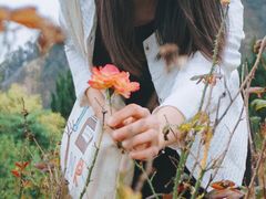 -南沙蒲洲花园