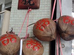 -洪馨椰子