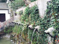 iphone_upload_pic-太湖源风景区