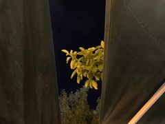 -火咂咂竹筒宴(告庄店)