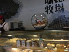 -瑞穗牧场