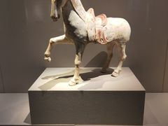 -台州博物馆