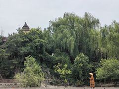 -洛阳白马寺