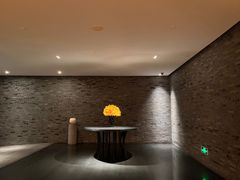 -三亚太阳湾柏悦酒店