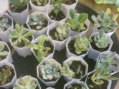 -木屋烧烤(万德庄店)
