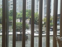 -鱼鲜饭香·招牌汽锅剁椒鱼头王