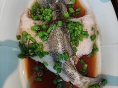 -张生记(丁香国际店)
