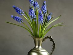 -海底捞火锅(长沙华创国际广场店)