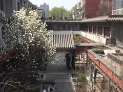 -北京和园国际青年客栈
