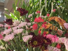 -春暖花开(西溪店)