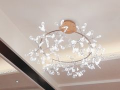 -侨美·唐荔园·40年地道粤菜