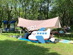 -重庆彩云湖湿地公园