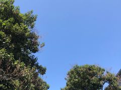 -北京邮电大学