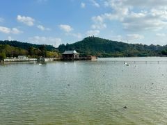 -顺峰山公园