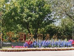 -永定河休闲森林公园