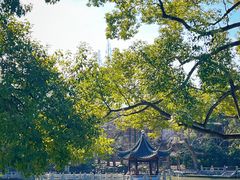 -汇龙潭