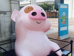 -九龙公园