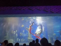 -梦幻海洋王国(吾悦广场张家港店)