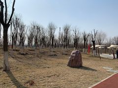 -天津东丽湖风景区