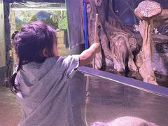 -正佳雨林生态植物园