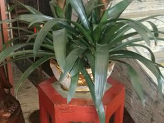 -小榄公饭店(西区彩虹店)