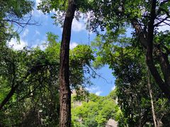 -秦岭终南山世界地质公园翠华山景区