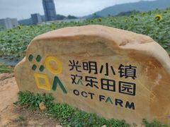 -光明小镇欢乐田园