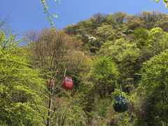 -王顺山国家森林公园