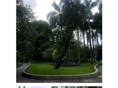 -晓港公园