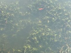 -前关湿地公园