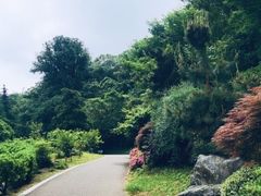 -南山风景名胜区
