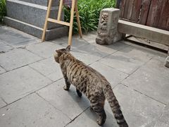 -正阳书局(西四南大街店)