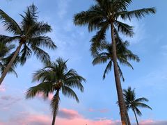 -Sunset Bar(丹绒亚路香格里拉店)