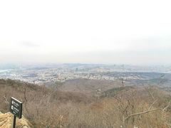 -紫金山山顶公园