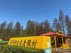 -渌洋湖湿地公园