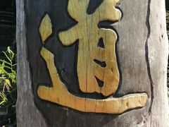 -海南霸王岭国家森林公园