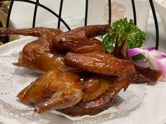 妙龄乳鸽-老广酒楼(樱花店)