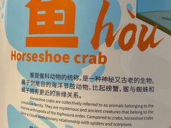 -欢乐海岸海洋奇梦馆