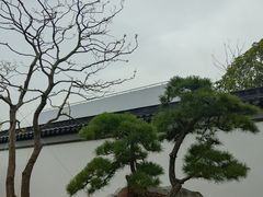 -上海滨江森林公园