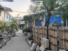 -桂林市花鸟市场