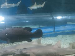 -福州罗源湾海洋世界旅游区