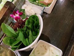 鲜活小白菜-番食园鲜食火锅(高新店)