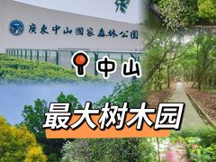-中山市树木园
