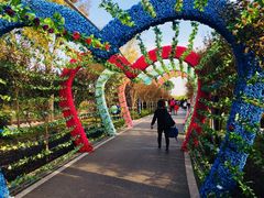 -武汉紫薇都市田园