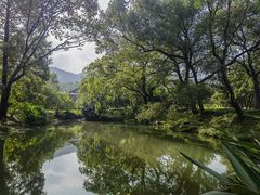 -杭州植物园