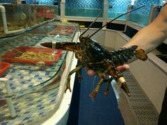 -船奇蒸汽海鲜·闽菜(八市海鲜总店)