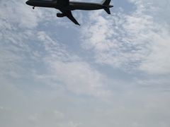 -空港花田景区
