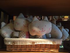 -猫咪博物馆(顶澳仔猫街店)