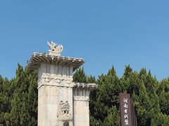 -洛阳古墓博物馆