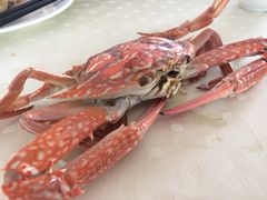 iphone_upload_pic-绢姐海鲜大排档